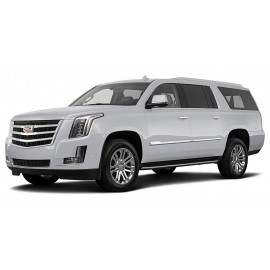 أسكاليد ESV (2)